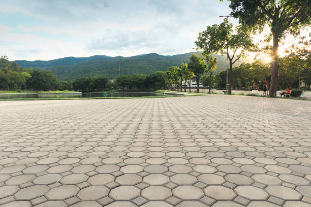 Best Concrete Paver Driveway  in Magnolia, NC