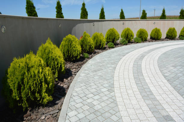 Best Interlocking Driveway Pavers  in Magnolia, NC